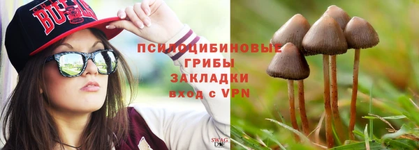 таблы Бородино