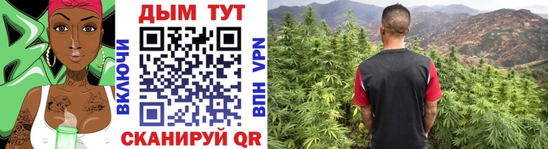 Бошки марихуана White Widow  гидра зеркало  Старый Оскол 